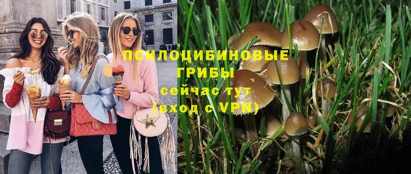 купить  цена  мега рабочий сайт  Галлюциногенные грибы MAGIC MUSHROOMS  Алексеевка 